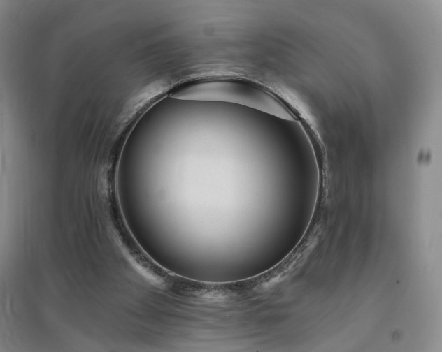 X0000094420105200711151329