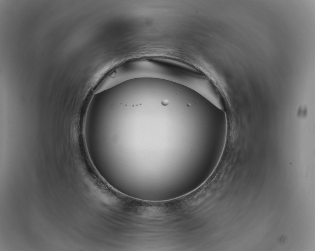 X0000094420107200711151329