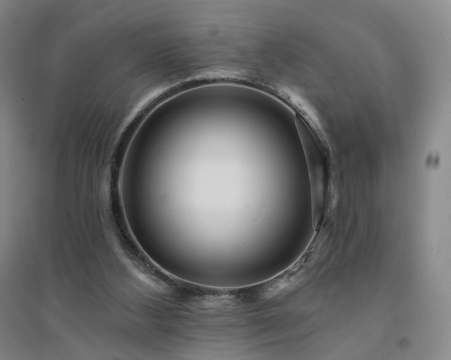 X0000094420108200711151329