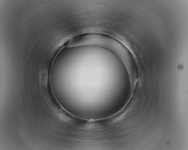 X0000094420109200711151329