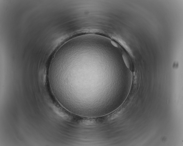 X0000094420110200711151329