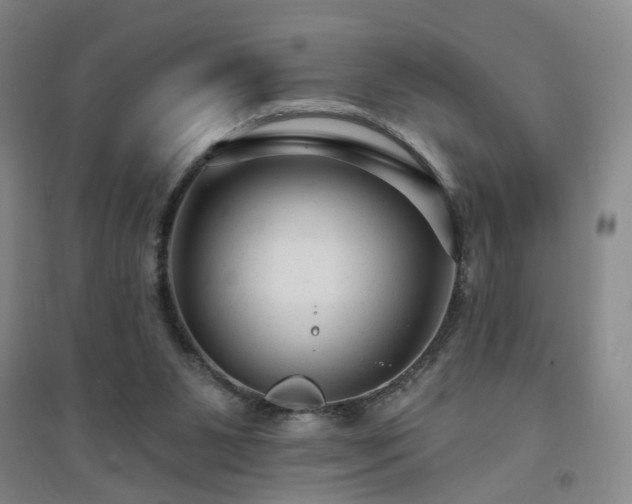 X0000094420111200711151329