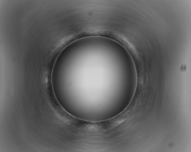 X0000094420115200711151329