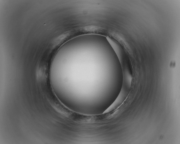 X0000094420116200711151329