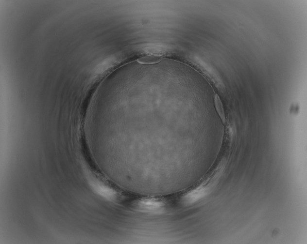 X0000094420117200711151329