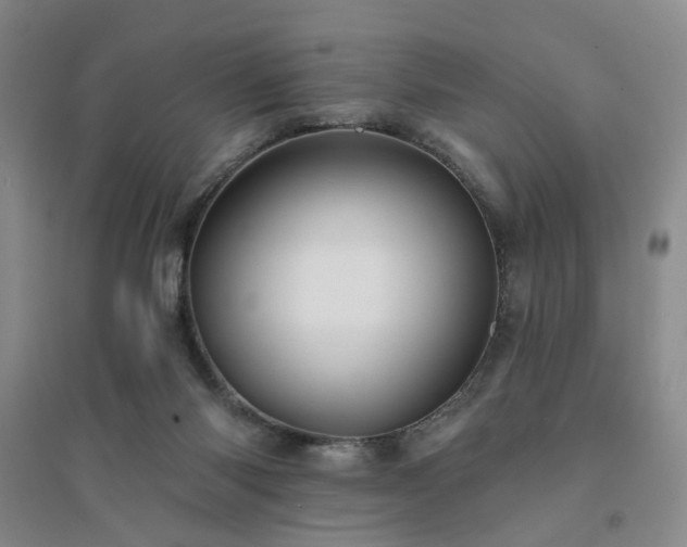 X0000094420118200711151329