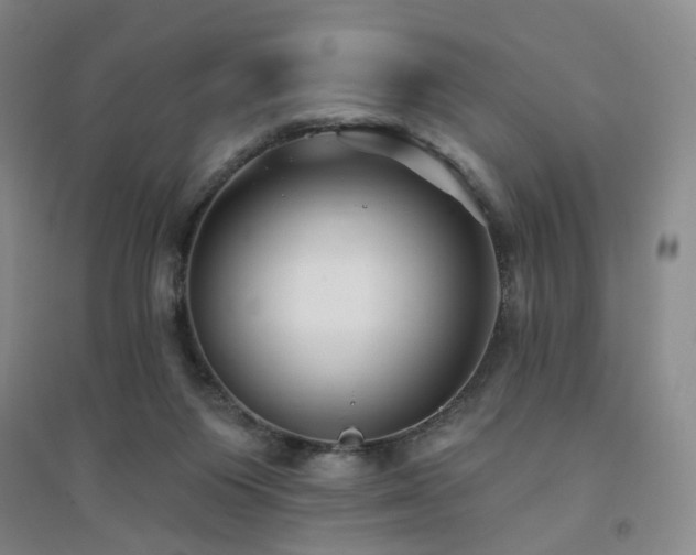 X0000094420119200711151329