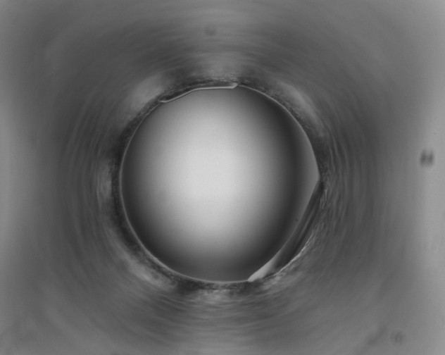 X0000094420120200711151329