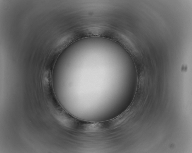 X0000094420122200711151329