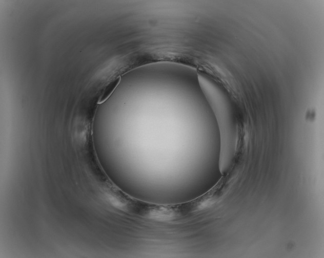 X0000094420125200711151329