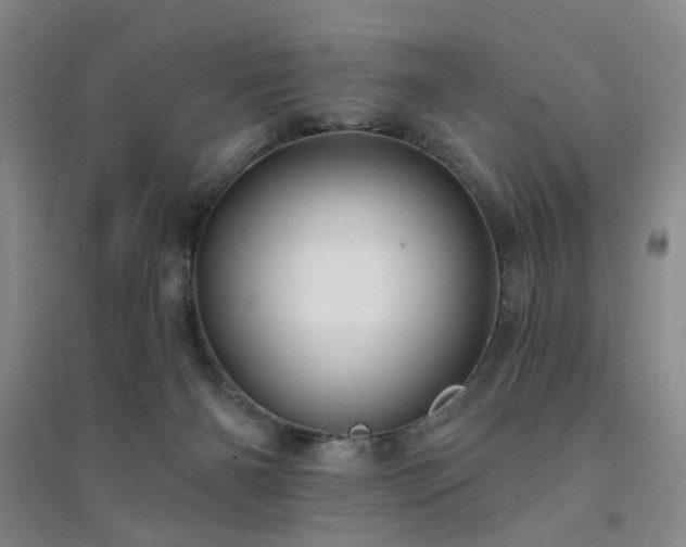 X0000094420126200711151329