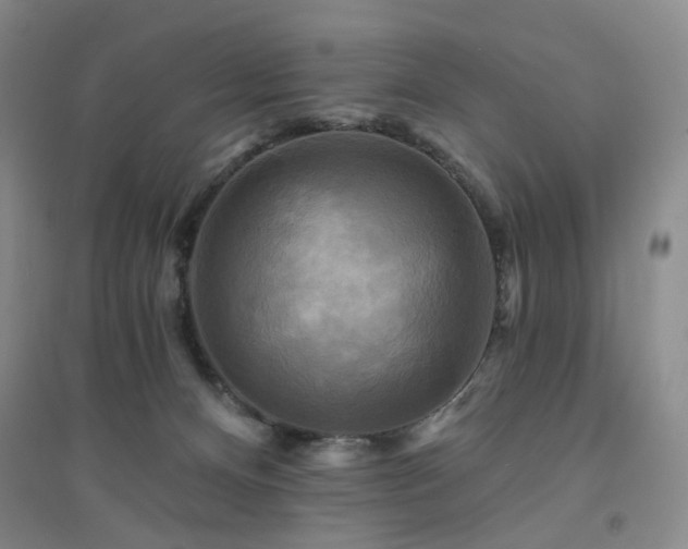 X0000094420128200711151329