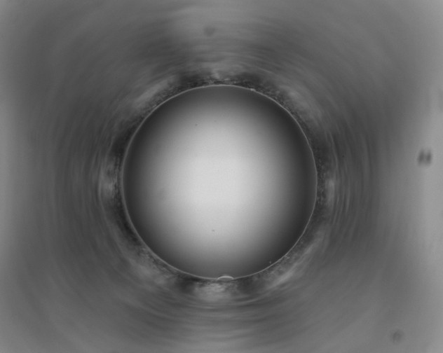 X0000094420129200711151329