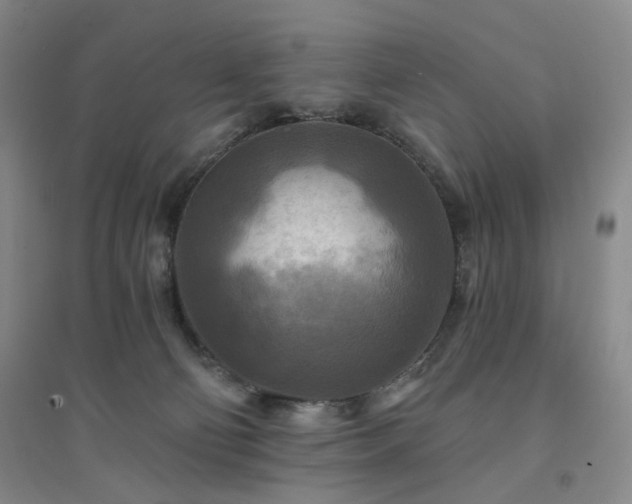 X0000094420130200711151329