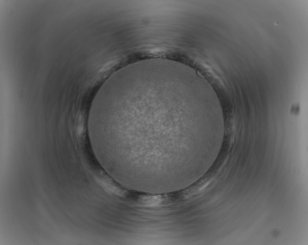 X0000094420131200711151329