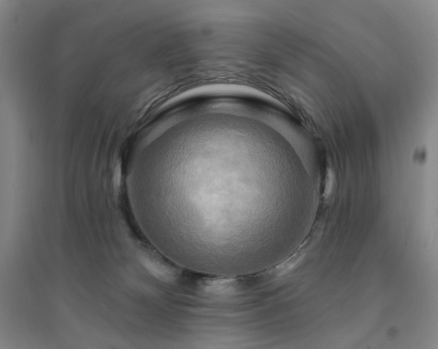 X0000094420132200711151329