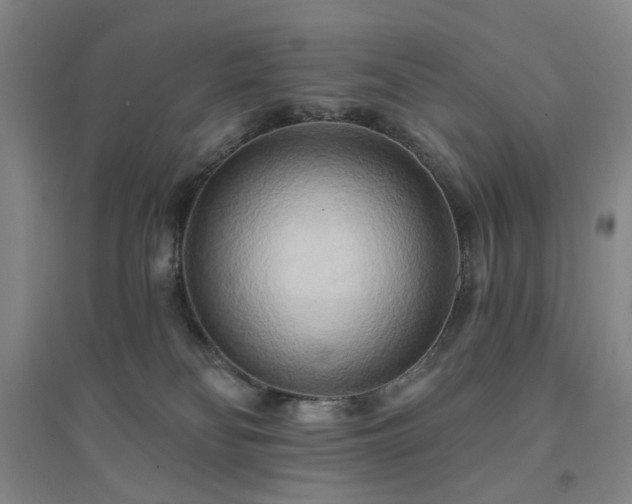 X0000094420134200711151329