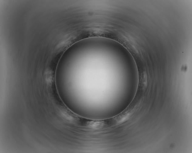 X0000094420135200711151329