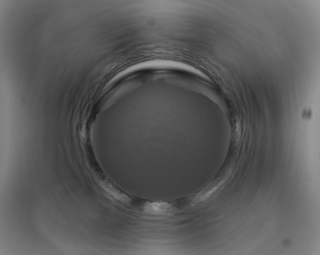 X0000094420137200711151329