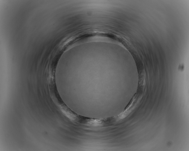X0000094420140200711151328