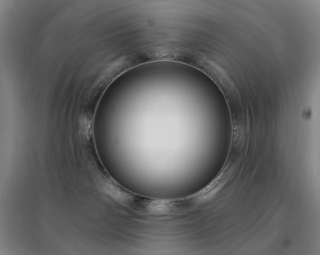 X0000094420142200711151328