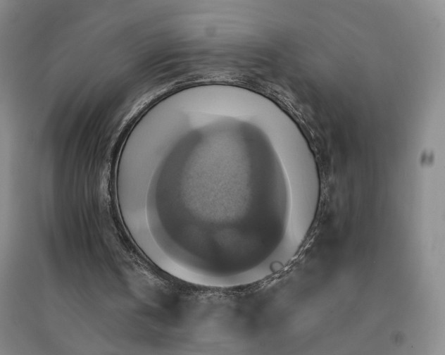 X0000094420146200711151328