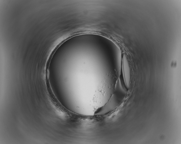 X0000094420148200711151328
