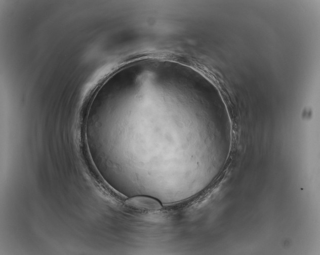 X0000094420149200711151328