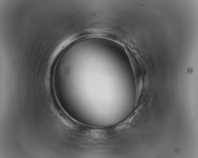X0000094420150200711151328