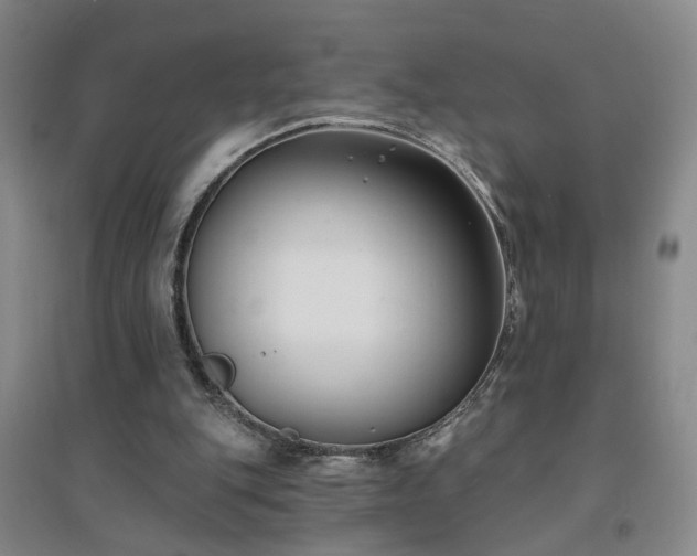 X0000094420151200711151328