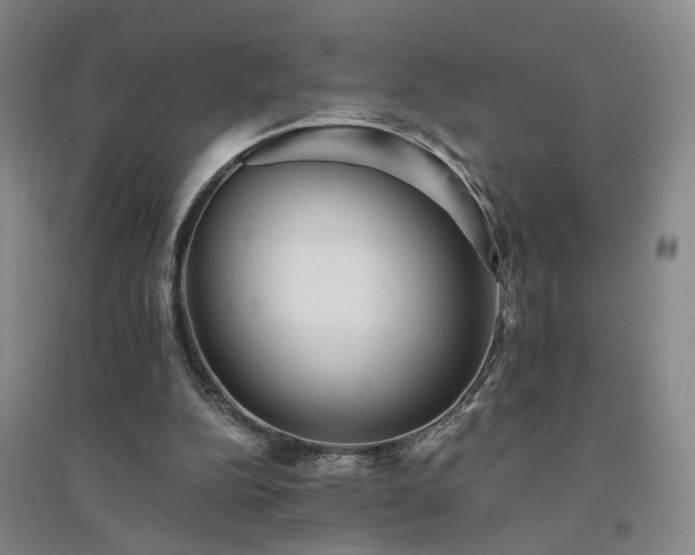 X0000094420152200711151328