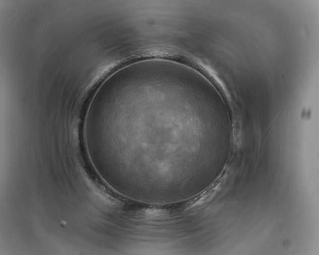 X0000094420154200711151328