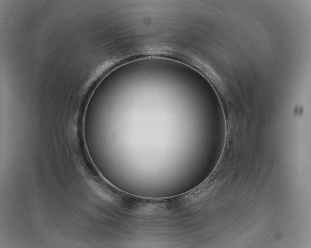 X0000094420155200711151328
