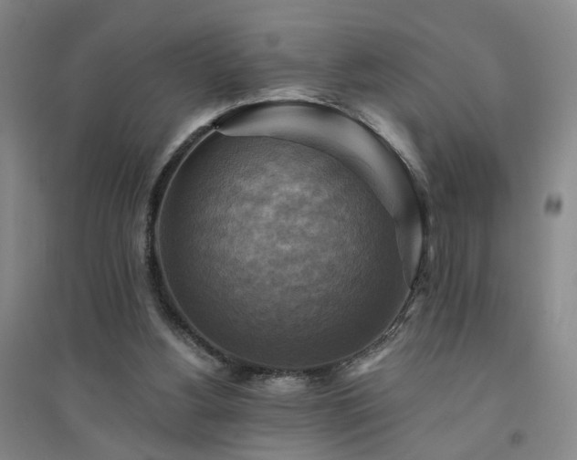 X0000094420156200711151328