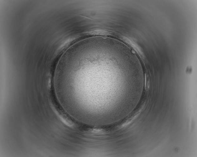 X0000094420157200711151328
