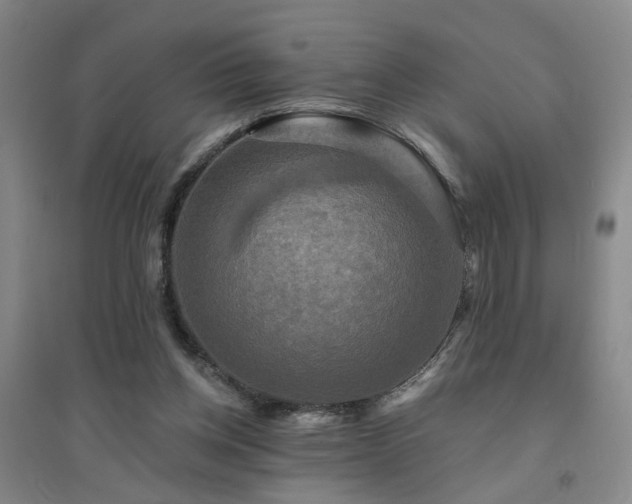 X0000094420158200711151328