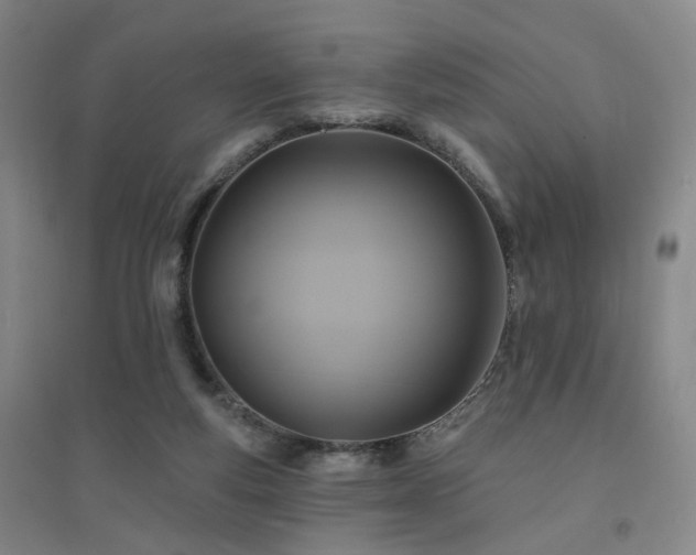 X0000094420163200711151328