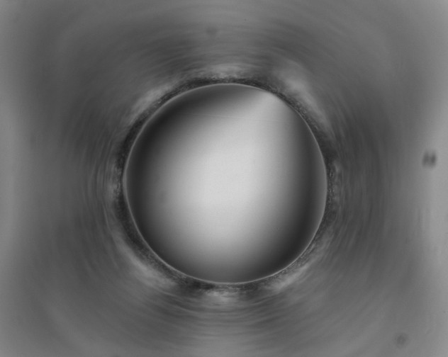 X0000094420164200711151328
