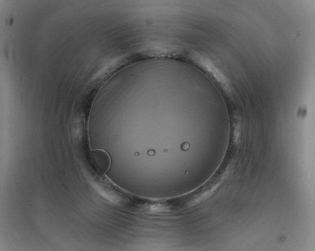 X0000094420165200711151328