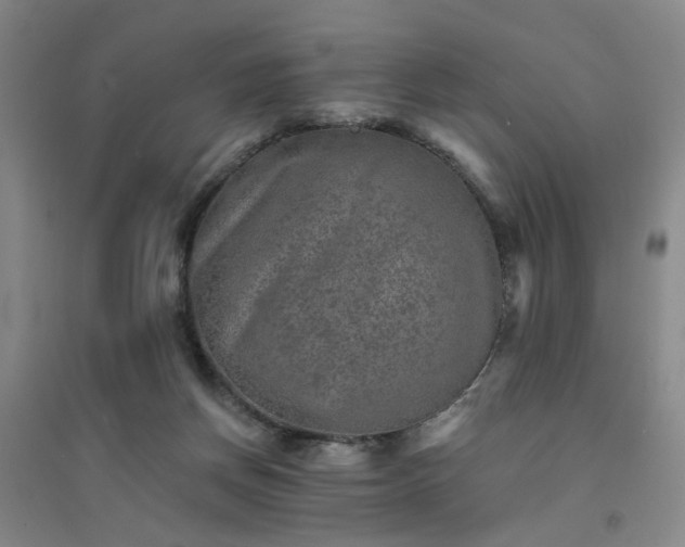 X0000094420166200711151328