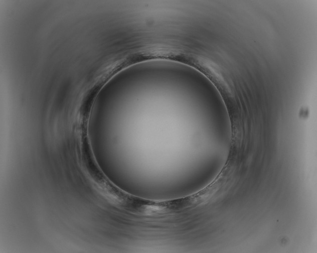 X0000094420167200711151328
