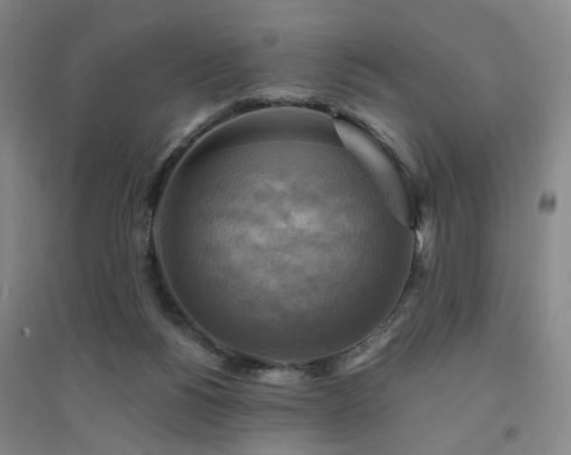 X0000094420168200711151328