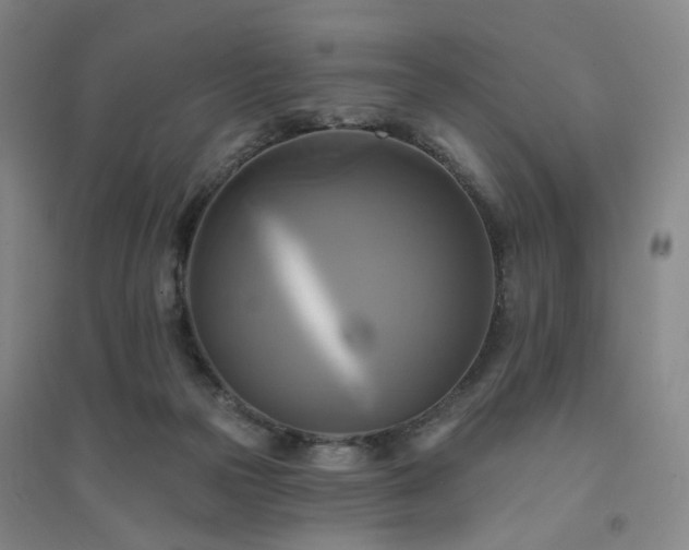 X0000094420169200711151328