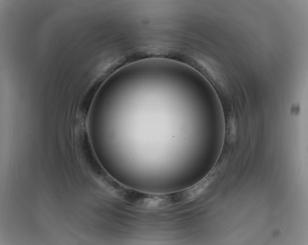 X0000094420172200711151328