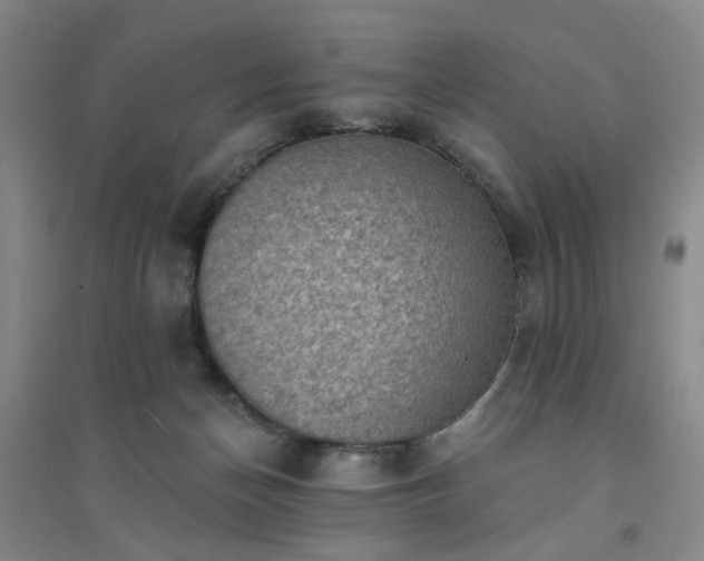 X0000094420174200711151328