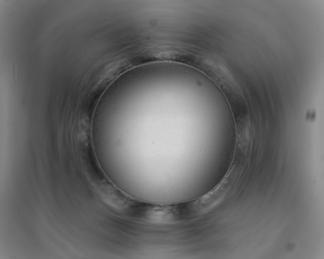 X0000094420175200711151328