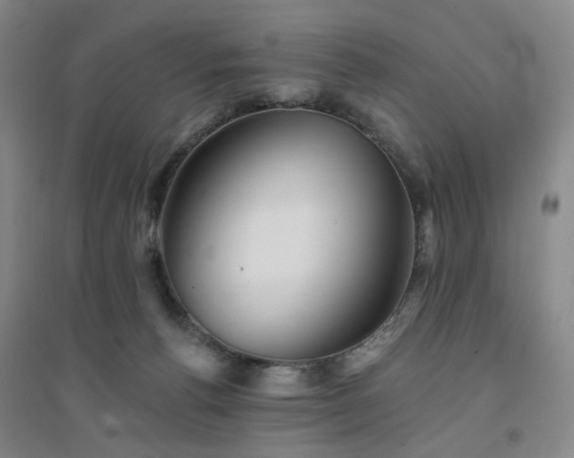X0000094420176200711151328
