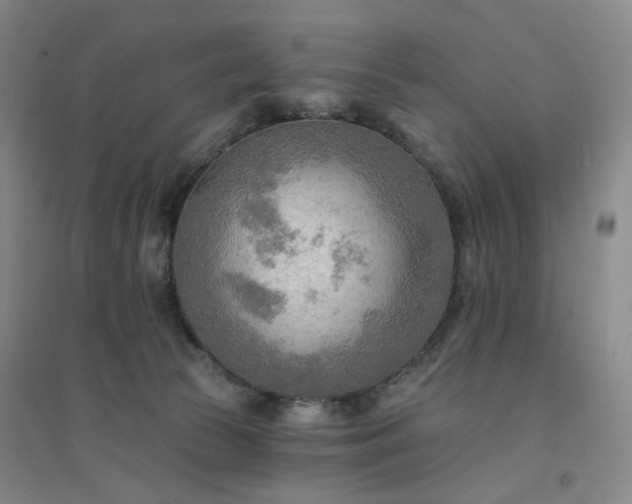 X0000094420177200711151328