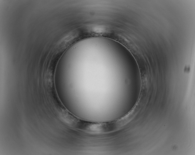 X0000094420178200711151328