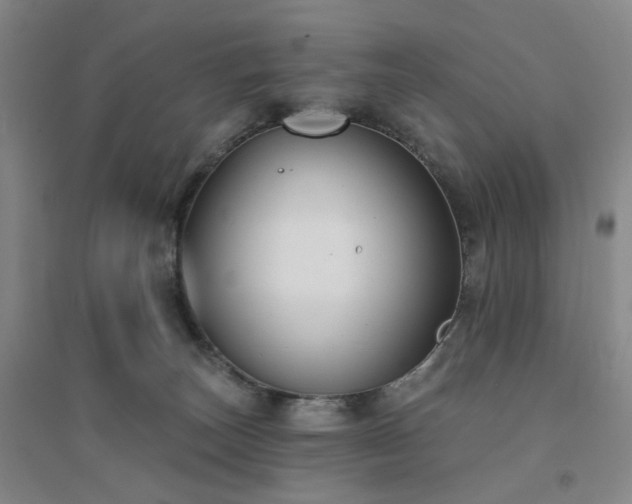 X0000094420179200711151328
